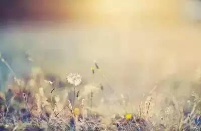 随遇而安汪曾祺散文第五段,子墨随遇而安散文