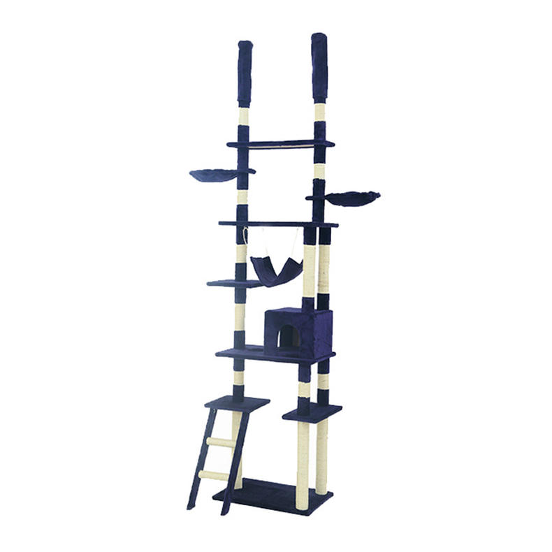 猫咪的7大怪癖你知道多少,猫咪都有哪些奇怪的癖好