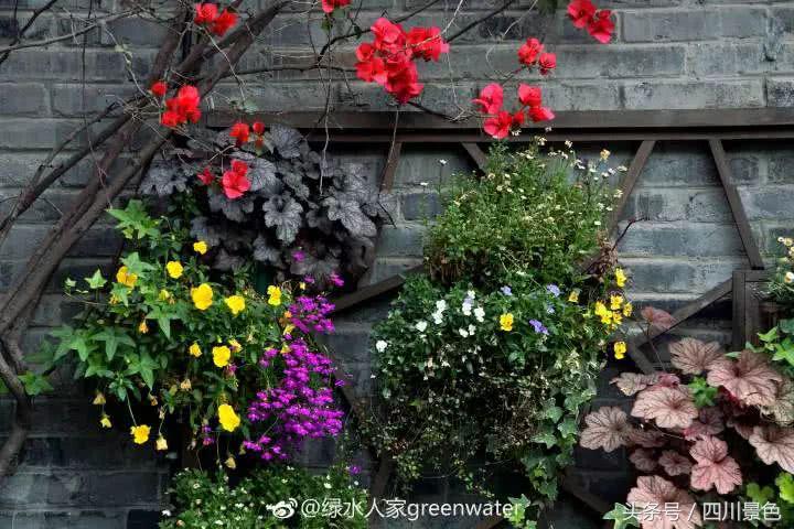 芍药成海，蔷薇满园！成都最快0.5h就到！赏四月的花不走远！