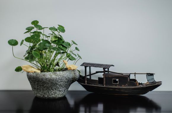 还是专业的拍的好看，新中式美家已入住2个月了，两个字完美！