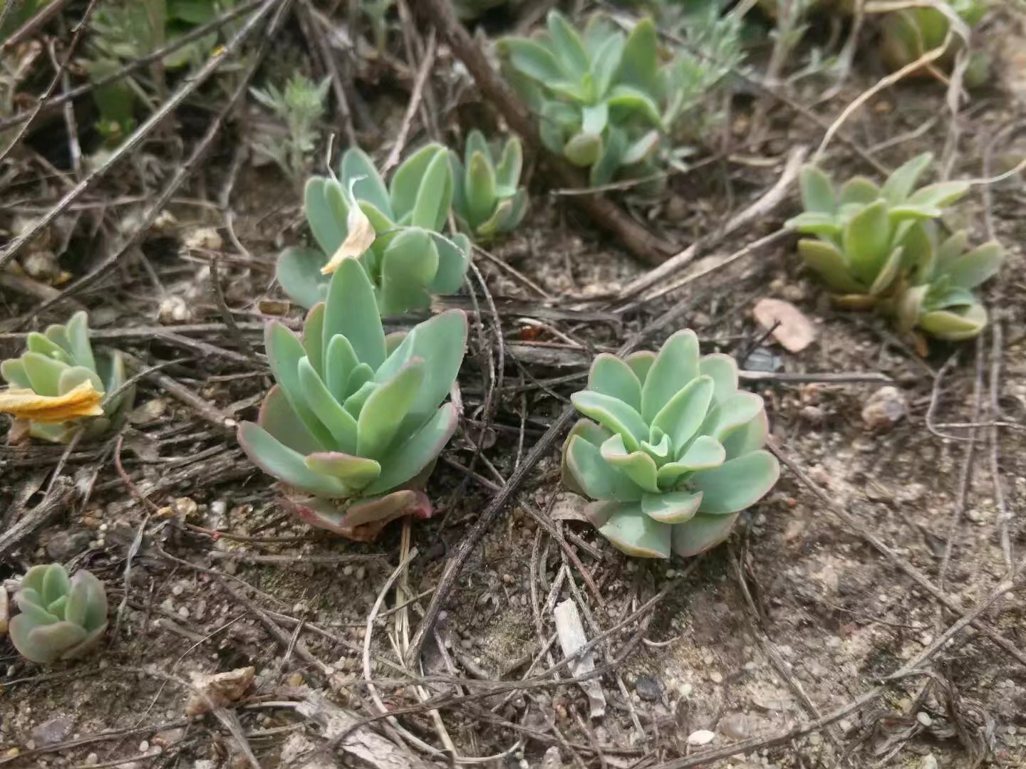 自驾车赤峰到通辽多远,骑行内蒙古331国道