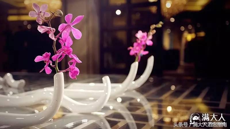 中国英迪格酒店推荐,暑期必去度假酒店推荐露天泳池