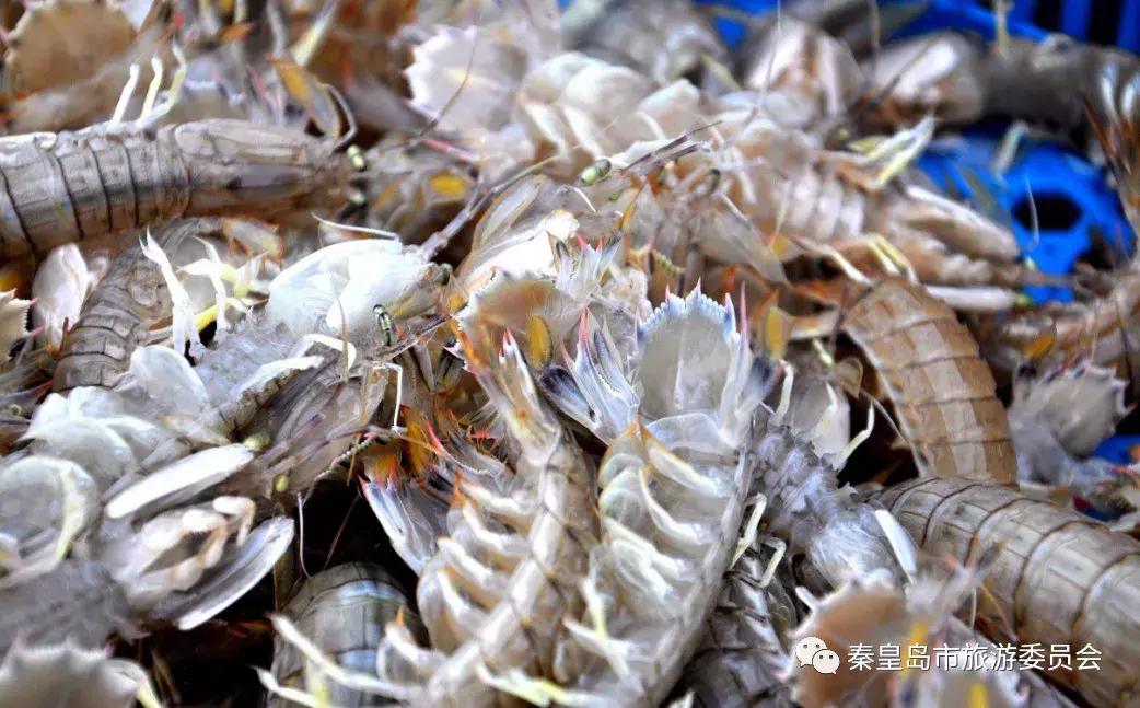 秦皇岛海鲜批发市场哪里最便宜,秦皇岛冬季海鲜去哪买最便宜