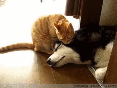 干掉小饿小困！专治各种迷糊，是时候告诉你们该喝点什么了