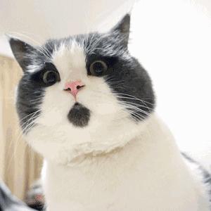 唯蜜瘦20天瘦6斤,唯蜜瘦3.0减肥成功视频