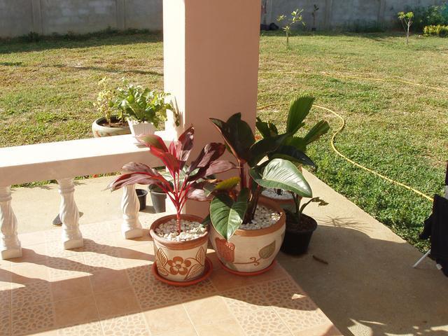 表哥结婚,表哥结婚婚房