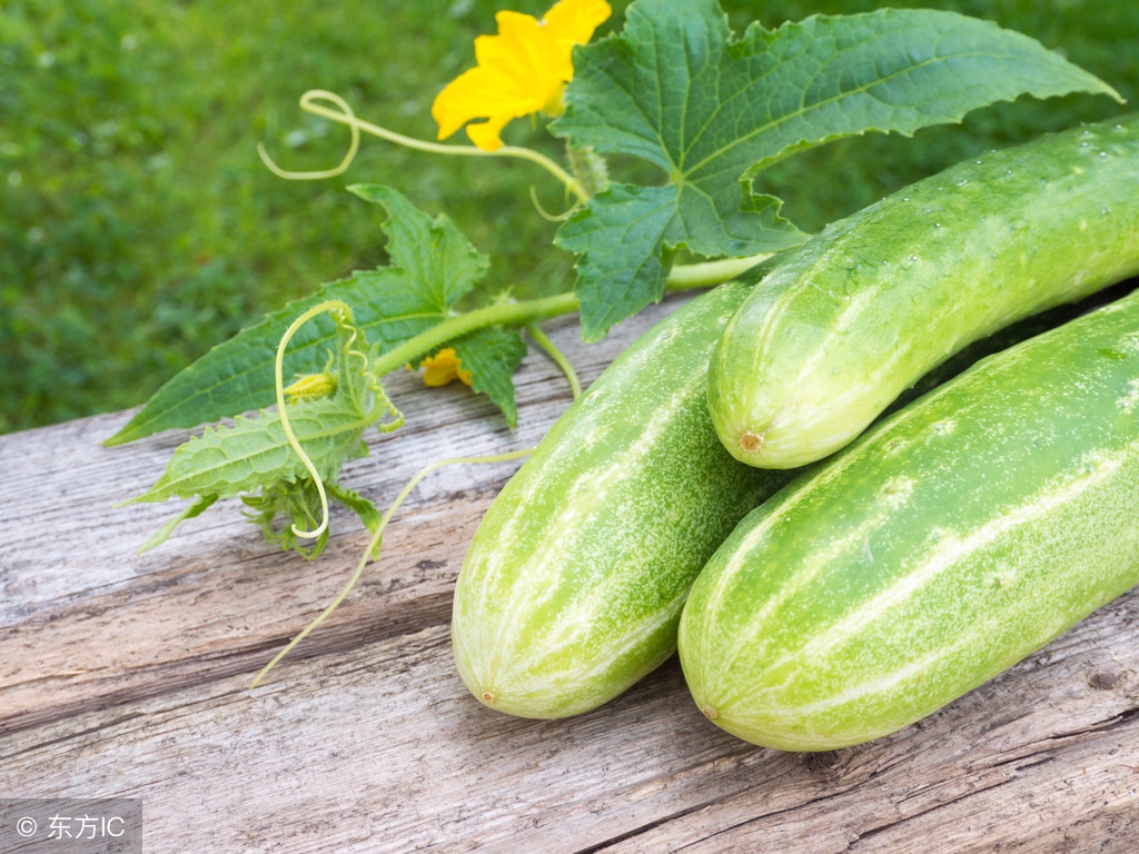 湿气重容易疲惫犯困,湿气重老是犯困怎么治