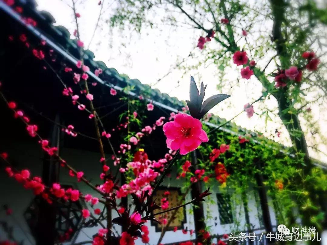 兴台古镇景区开放了吗,喜讯南庄添一处国家aaa级旅游景区