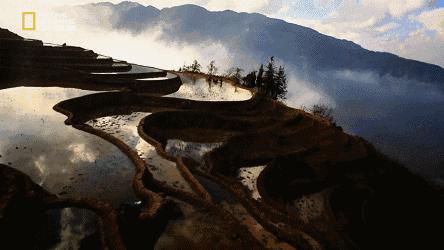 世界地球日，最适合孩子看的18部自然纪录片，趁周末，带娃看起来