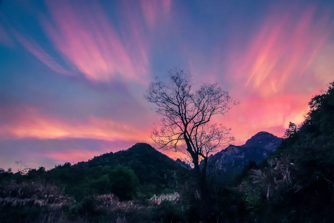 黄冈旅游一日游 (武汉黄冈景区有哪些景点)