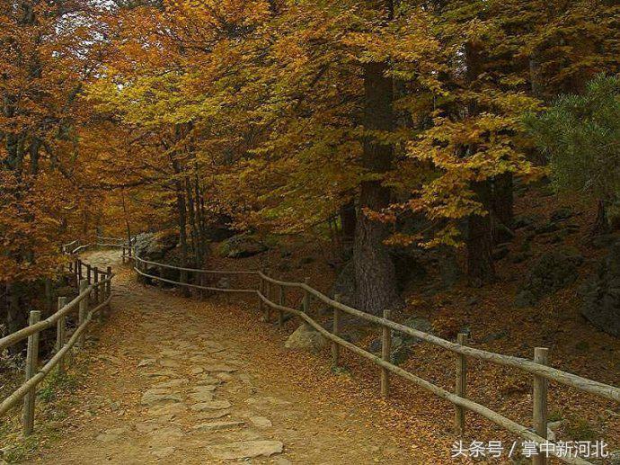 阴道竟然如此美丽