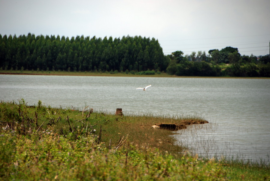 广西南宁钓鱼钓点,广西最新钓鱼技巧