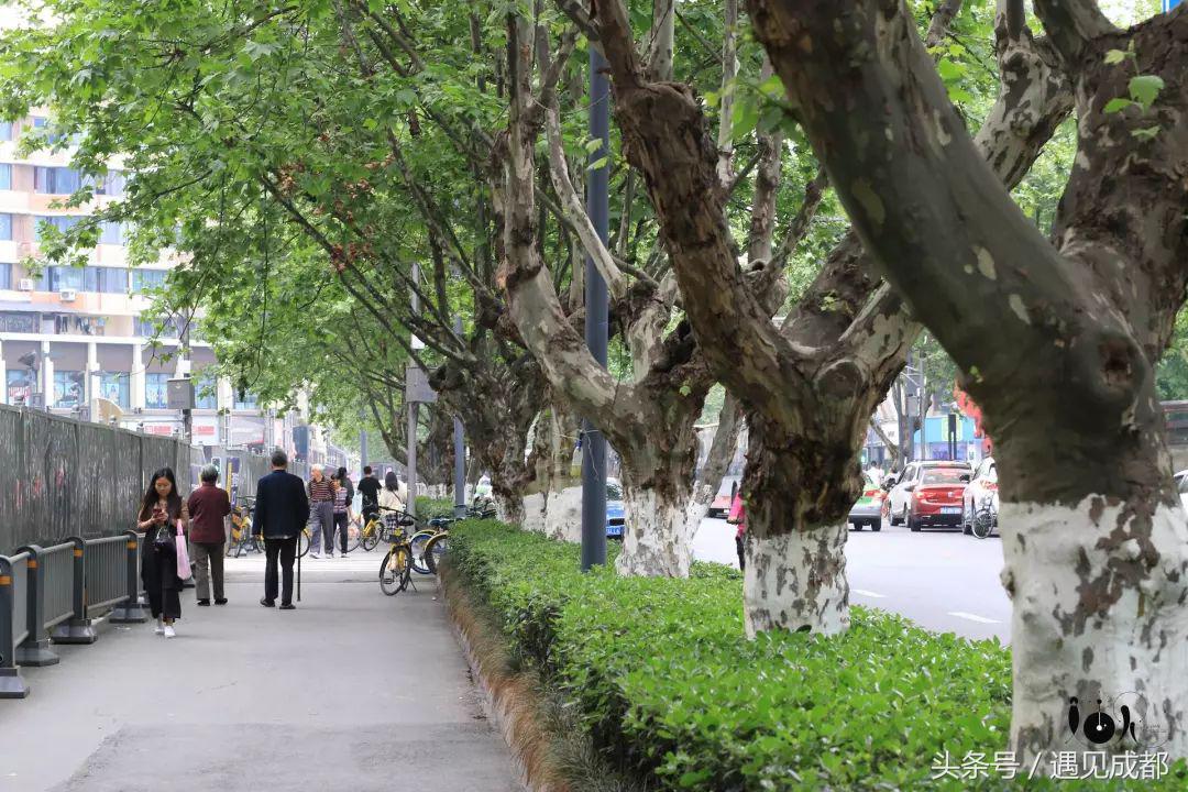 你离开了成都，却把“胃”留在了建设路