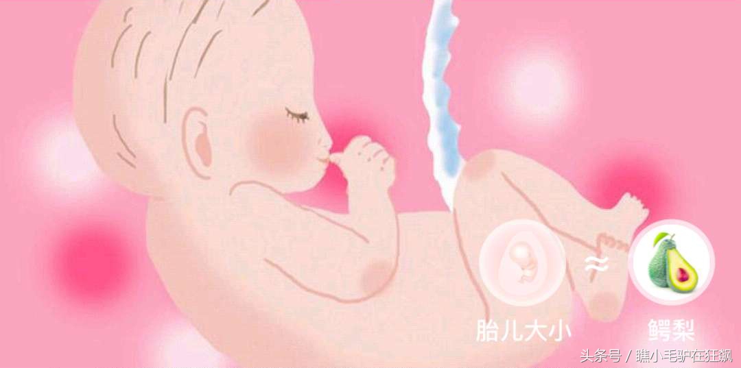 孕期宝宝变化的视频,妊娠第28周胎儿变化