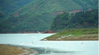 广西南宁钓鱼钓点,广西最新钓鱼技巧