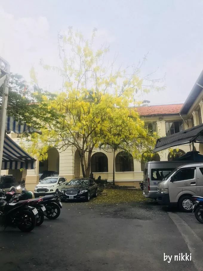 听湄公河的水潮声（未完，待续）