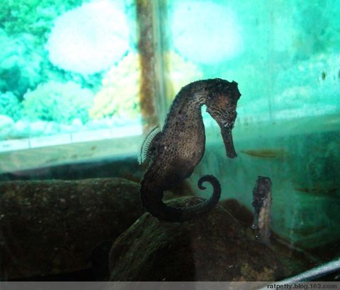 芽庄旅游哪里的东西最好,芽庄旅游旅游团十大必去景点