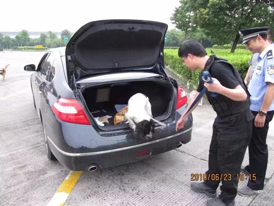 走进神秘警犬基地！解密“神犬”是怎样炼成的……