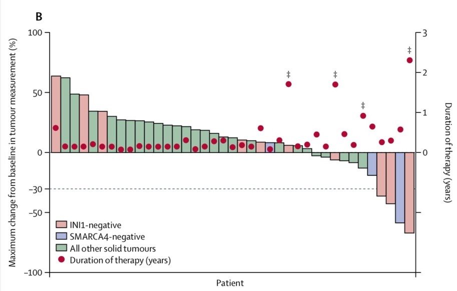 ezh2抑制剂是什么药,ezh2酶抑制剂的种类