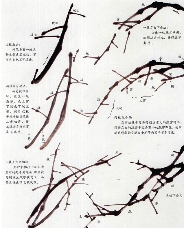 徐湛国画菊花画法视频教程,怎么画国画菊花又美又简单