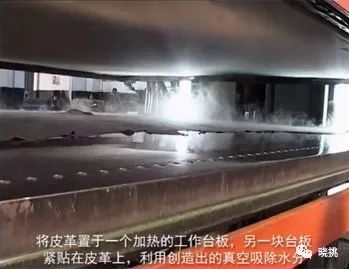 皮革的基础常识,皮革是怎么生产的