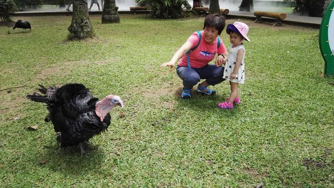 碧海蓝天椰风海韵旅行,碧海蓝天三亚亲子游攻略