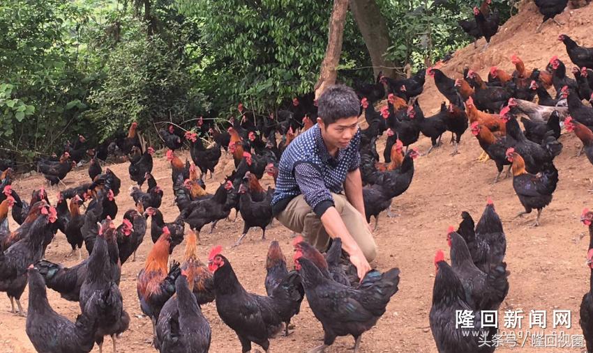 新华社到广西兴业,新华社采访园区企业