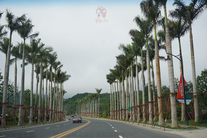 三亚非诚勿扰2拍摄点,非诚勿扰拍摄基地在三亚哪里