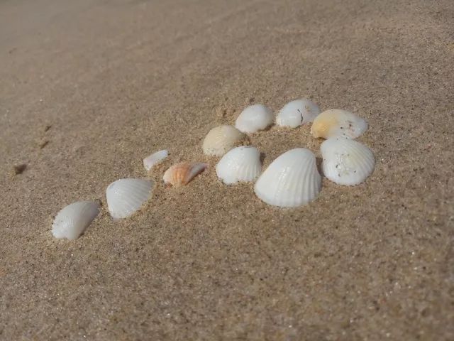 越南旅行之岘港攻略,越南岘港巴拿山风景