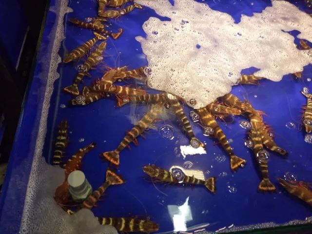 越南岘港的全身护理,越南岘港自由行旅游攻略