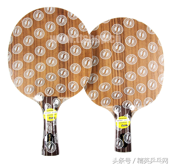 「精英聊器材」40+塑料球时代，哪些直板还值得选择？