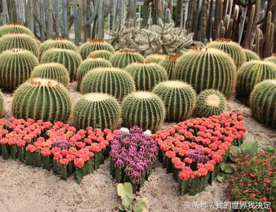 海上花园鹭岛-厦门旅游攻略大全！