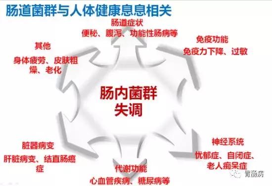 糖尿病人肠道菌群失调怎么调理,肠道菌群与糖尿病