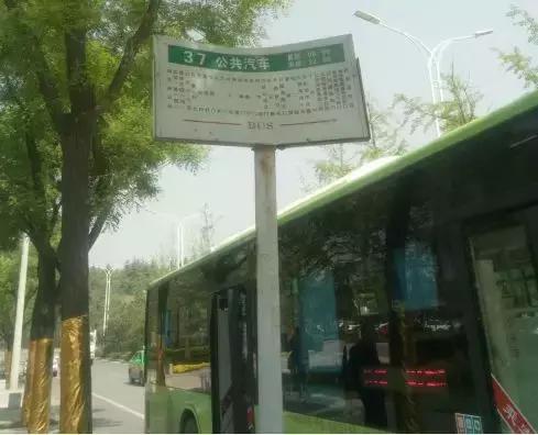 曲江新房摇号,西安曲江万人摇楼盘