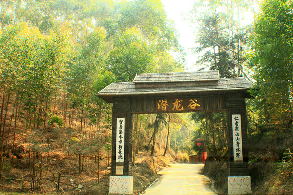 五一假期佛山去哪玩,高明五一攻略