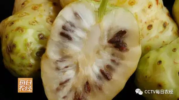 又酸又苦的热带水果,超级酸的热带水果