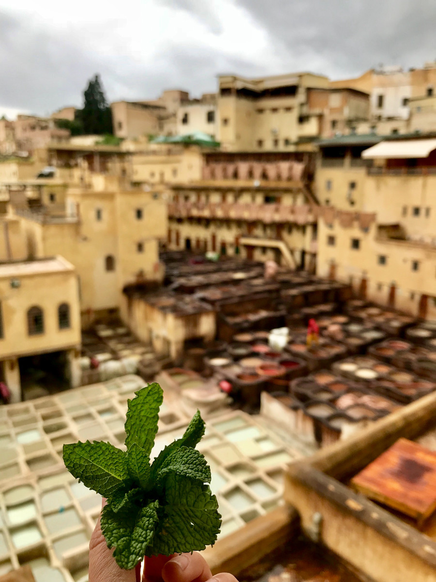 摩洛哥人人都听过的歌,摩洛哥一切皆有可能