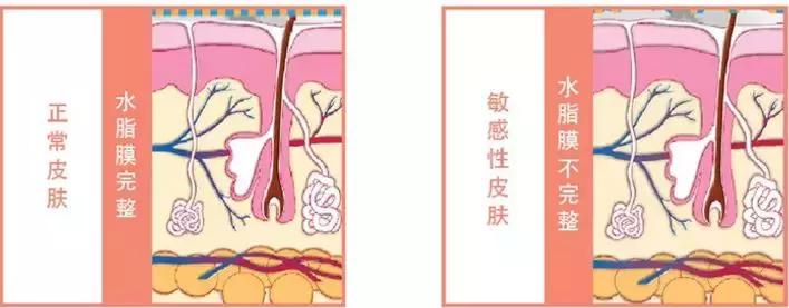 BeautyBank化妆品,beautybank美丽中心