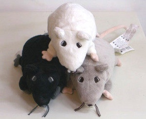 龙猫最佳配对年龄表图,龙猫几个月能配对啊