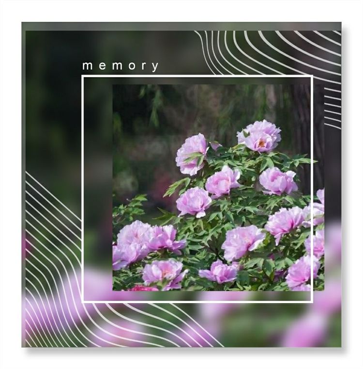 《洞天春》色几多情——（18—7·同韵）