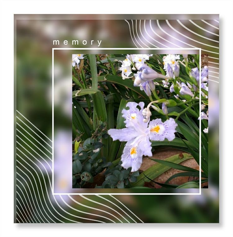 《洞天春》色几多情——（18—7·同韵）