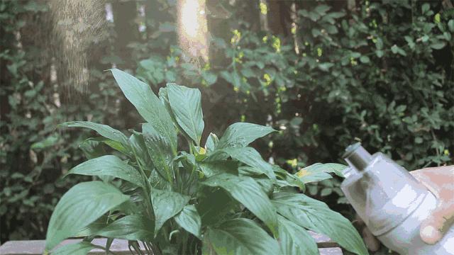 儿童夏天运动水壶测评,儿童运动水壶哪种最好用