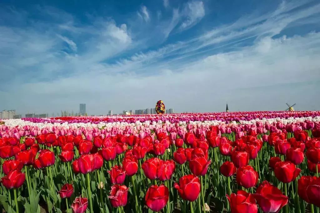 五一来云丘山赴一场花海之约,五一赴一场汉服踏青之约