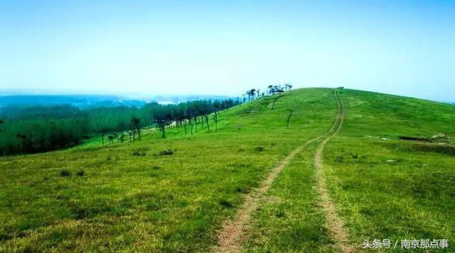 适合南京一日游的三十项免费景点,南京值得打卡的小众景点