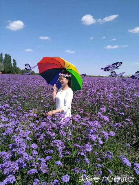 人间四月芳菲尽时过境迁落尘埃,人间四月芳菲尽春花始盛开