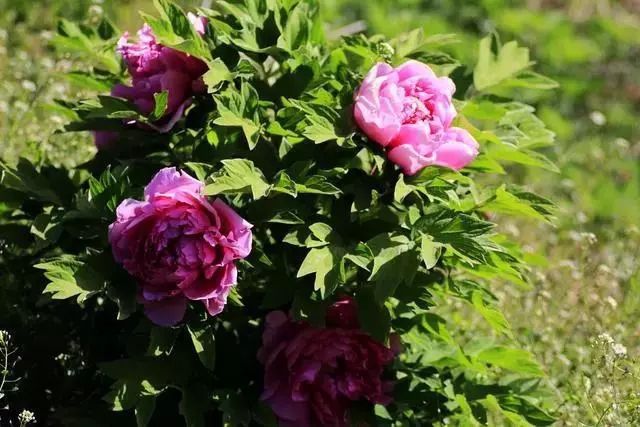 西安周边城市绝美景色旅游地点,西安出发五一4天自驾游路线推荐