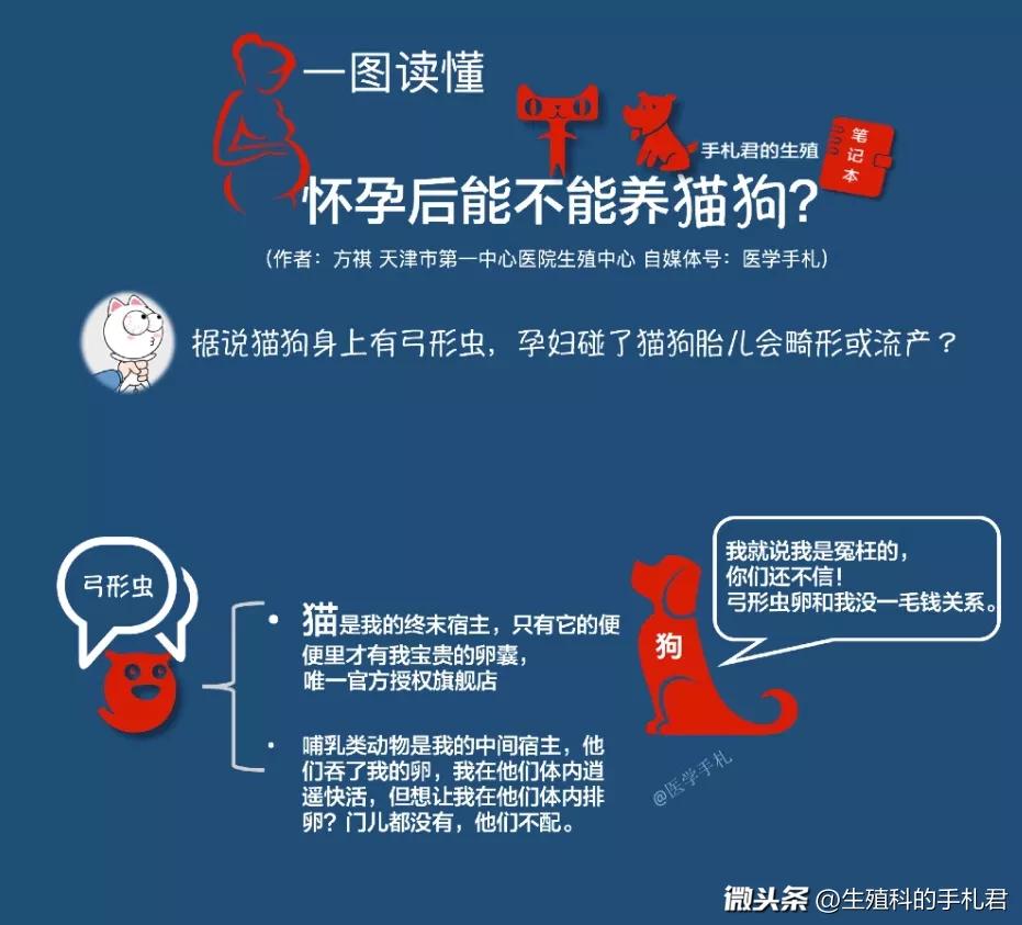 怀孕后不能养宠物,怀孕期间到底可不可以养猫狗