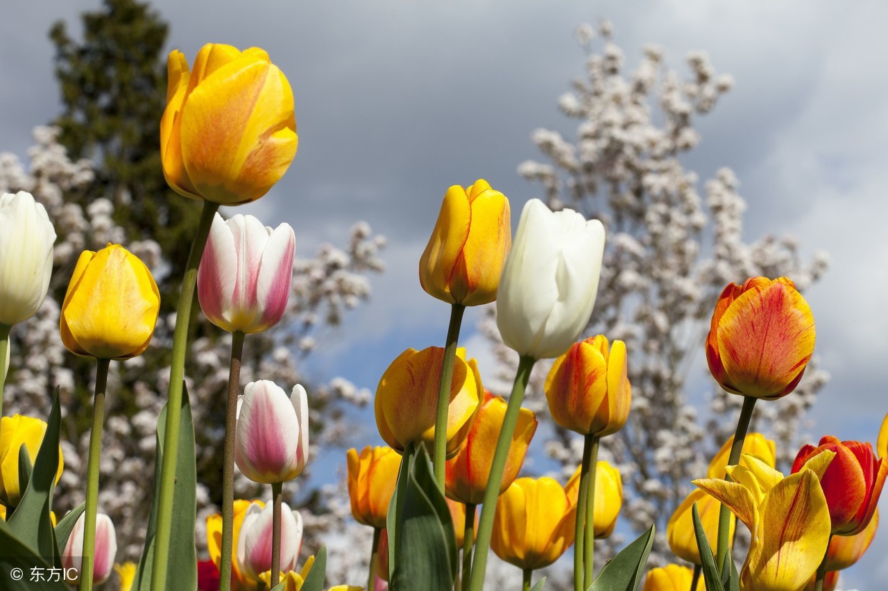 生活语录相册,生活感悟相册