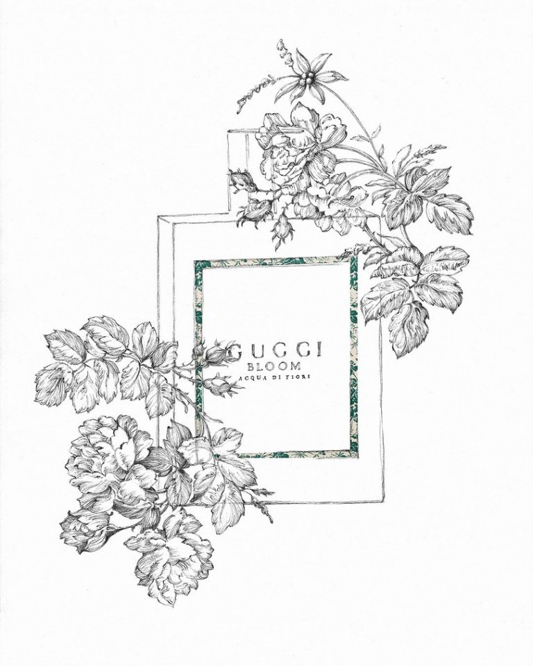 gucci绮梦栀子花香水30ml和50ml,gucci最新款香水图片