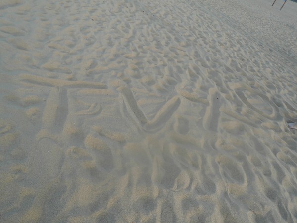 鍥涙湀骞胯タ椋庢櫙,鍥涙湀娴峰崡瀹炴媿